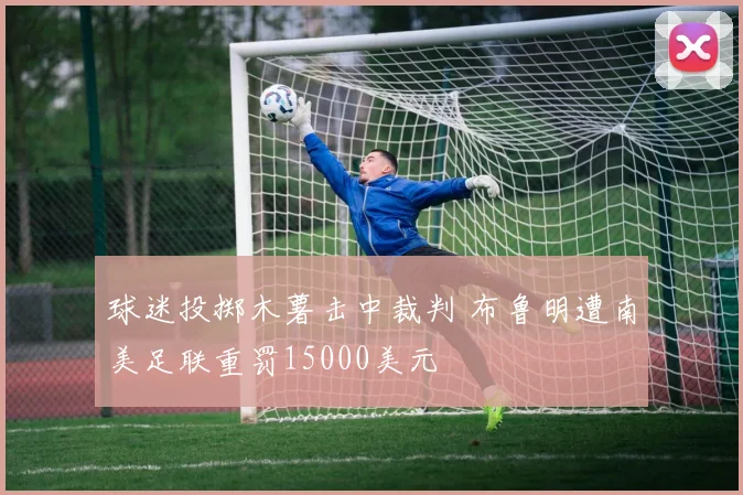球迷投掷木薯击中裁判 布鲁明遭南美足联重罚15000美元